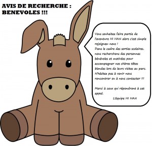 donkey